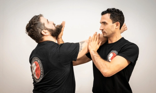 Ving-Tsun-Training mit Chi-Sao-Übung – Sifu Niro Akbary mit Schüler