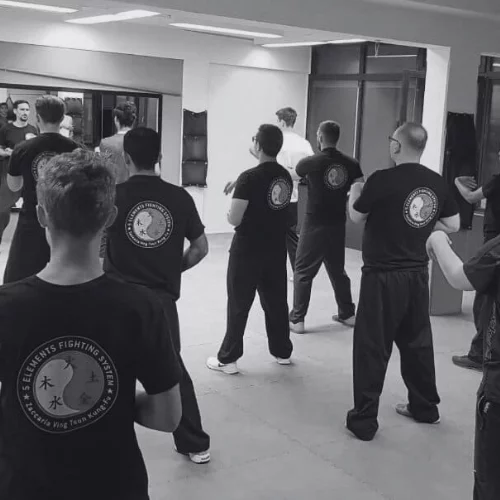 Kampfkunsttraining für Erwachsene – Ving Tsun Gruppe im Dojo